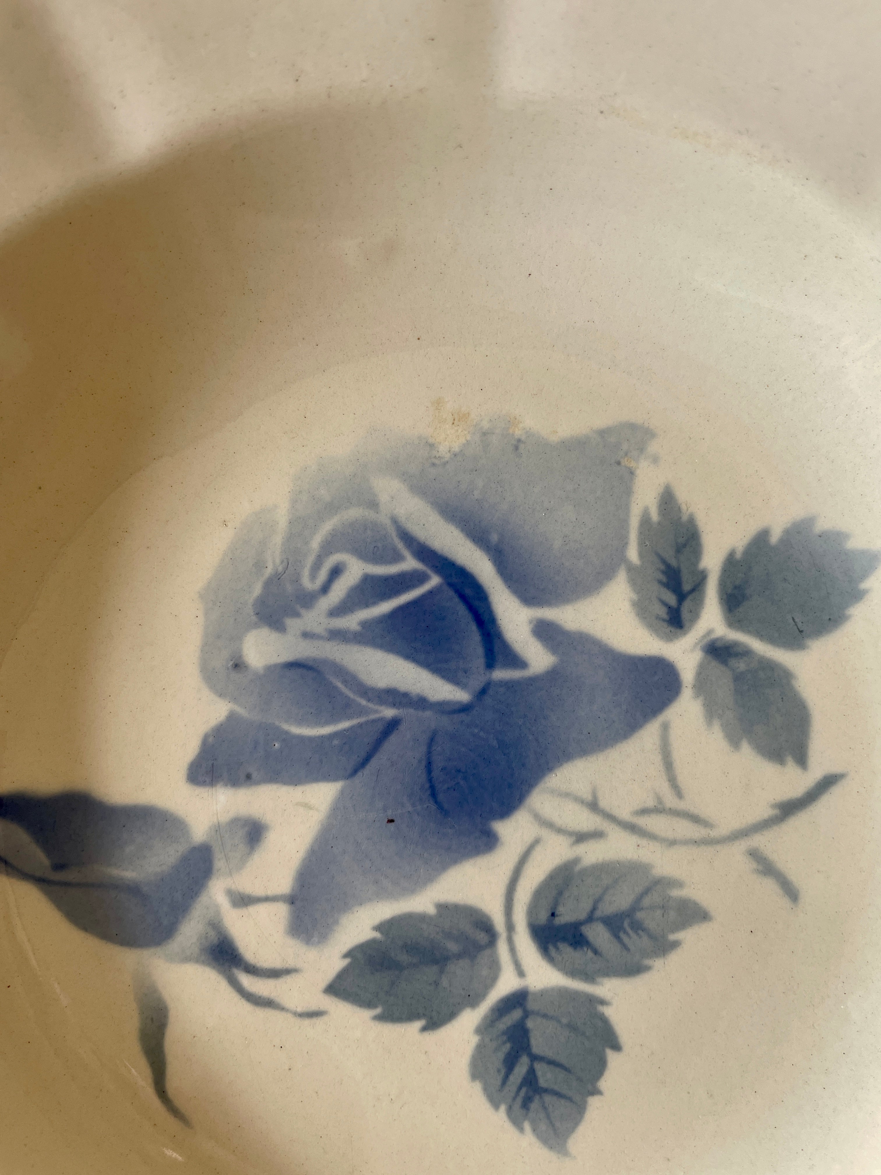 ディゴアンのブルーの薔薇プレート2枚セット